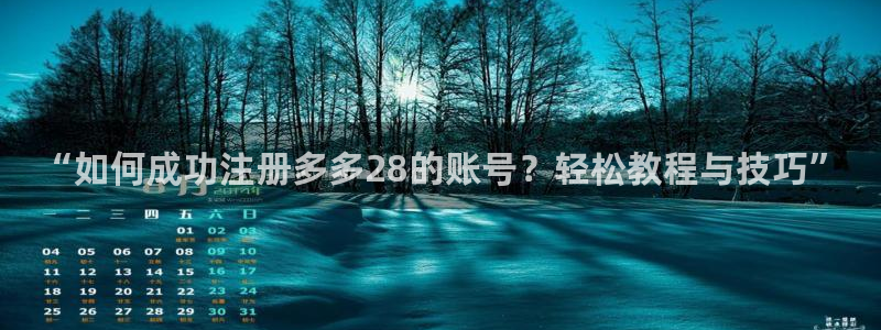 7790必发集团4代理：“如何成功注册多多28的账号？轻松教程与技巧”