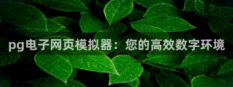 7790必发集团4平台注册：pg电子网页模拟器：您的高效数字环境