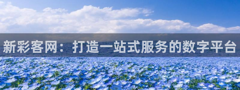 7790必发集团登录界面入口：新彩客网：打造一站式服务的数字平台