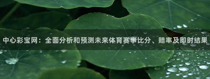 7790必发集团体育论坛：中心彩宝网：全面分析和预测未来体育赛事比分、赔率及即时