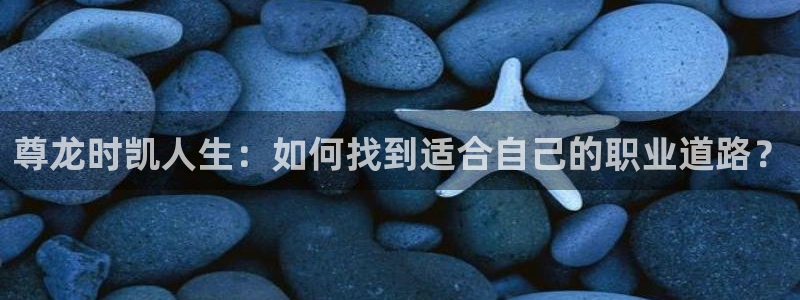7790必发集团3：尊龙时凯人生：如何找到适合自己的职业道路？