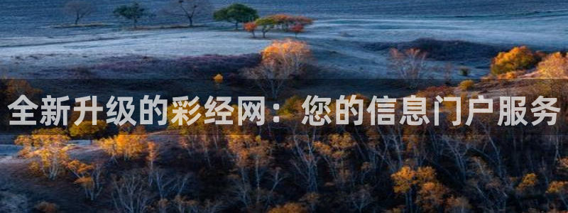 7790必发集团体育凯捷平台主管：全新升级的彩经网：您的信息门户服务