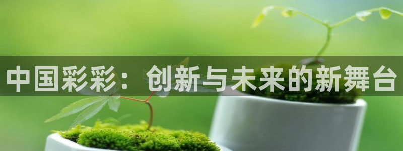7790必发集团登陆：中国彩彩：创新与未来的新舞台